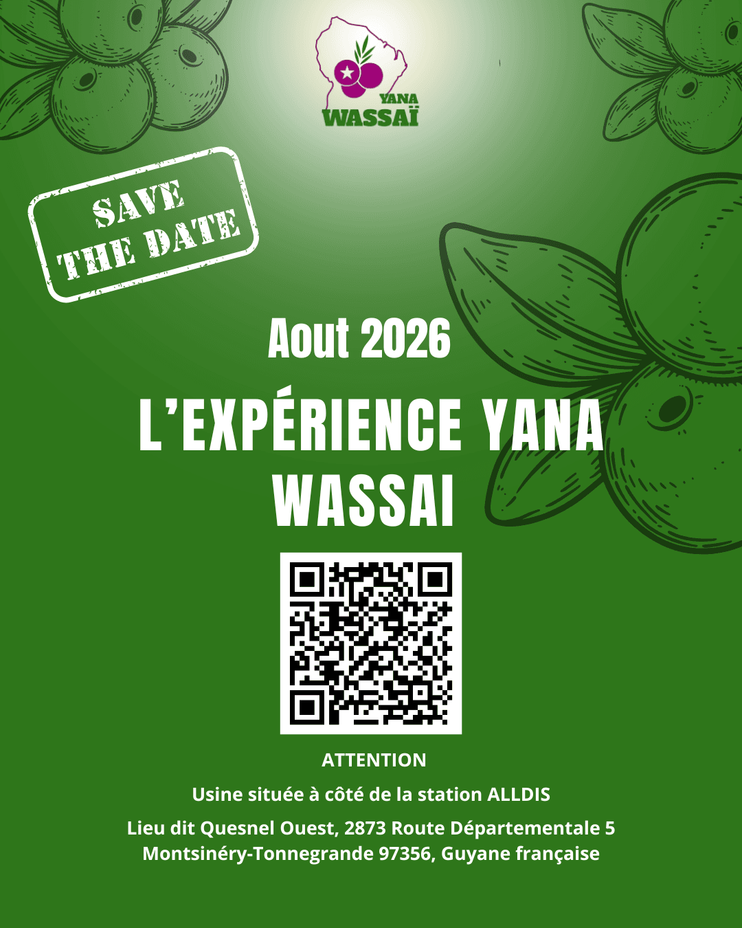 Explorez l’univers Yana Wassai #Aout2026