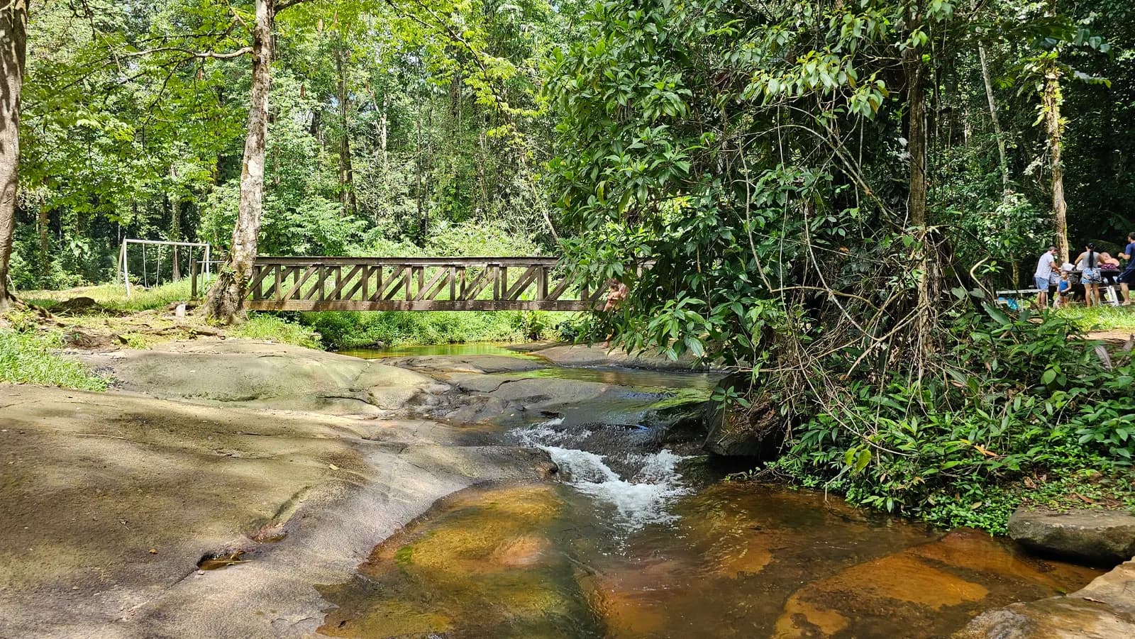 Balade en pirogue & Cascades Fourgassier — Un moment rafraîchissant au cœur de la nature !