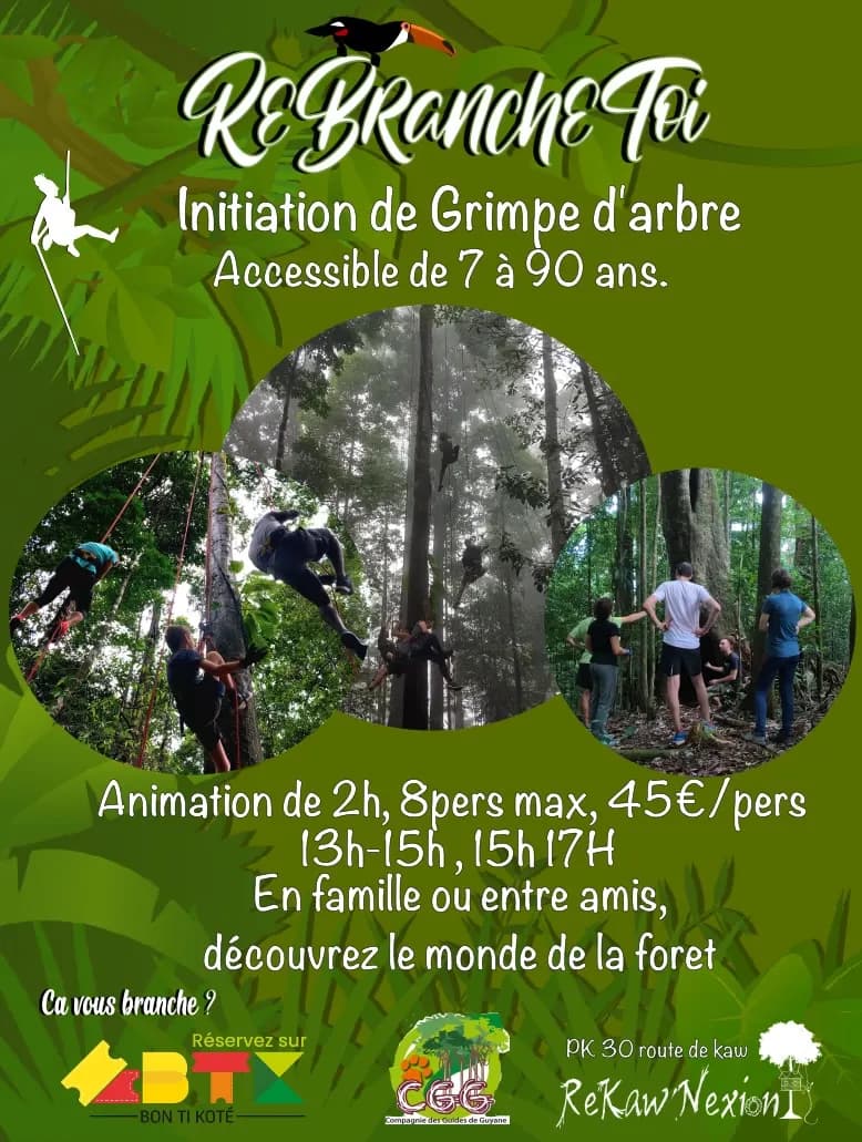 Initiation de Grimpe d'Arbre à Rekawnexion
