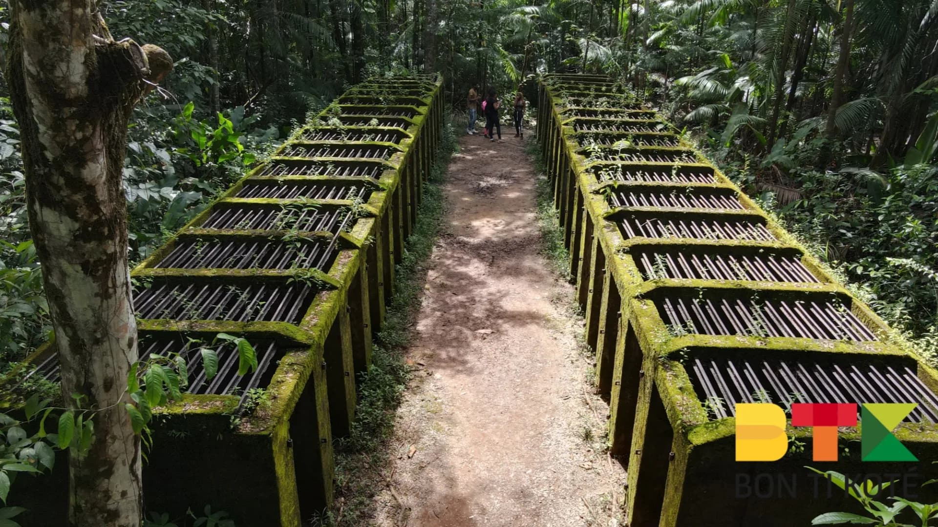 Découvrez le Bagne des Annamites : Un Site Historique Méconnu en Guyane