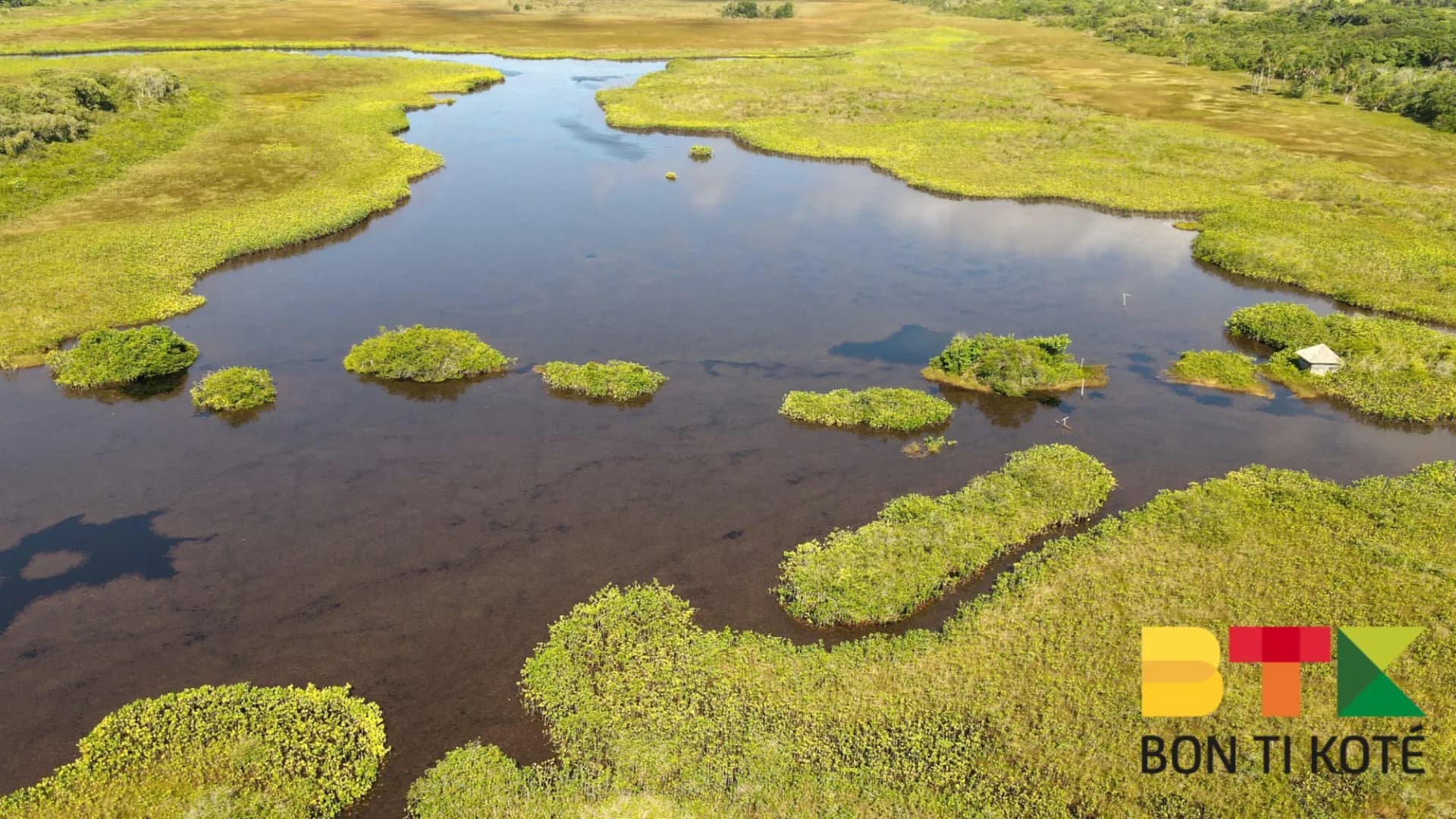 Pripri de Yiyi : un site naturel de Guyane