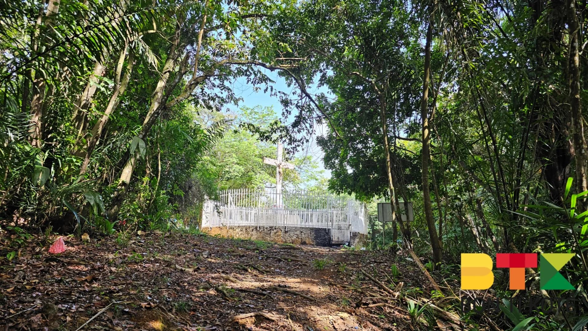 Randonnée au Sentier du Mont Bourda : Une Balade Nature à Cayenne