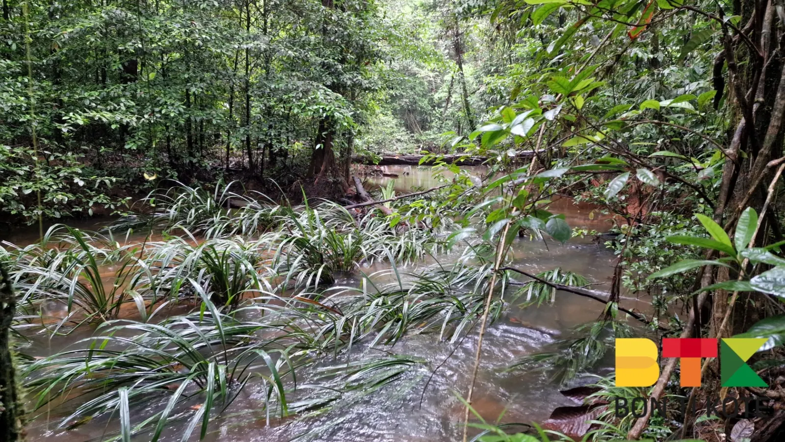  Sentier Molokoi : Une Aventure de 18 Km, Roura — photo 1