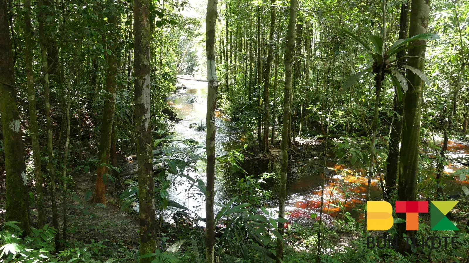 Crique cascade : site de baignade à Apatou, Apatou — photo 3