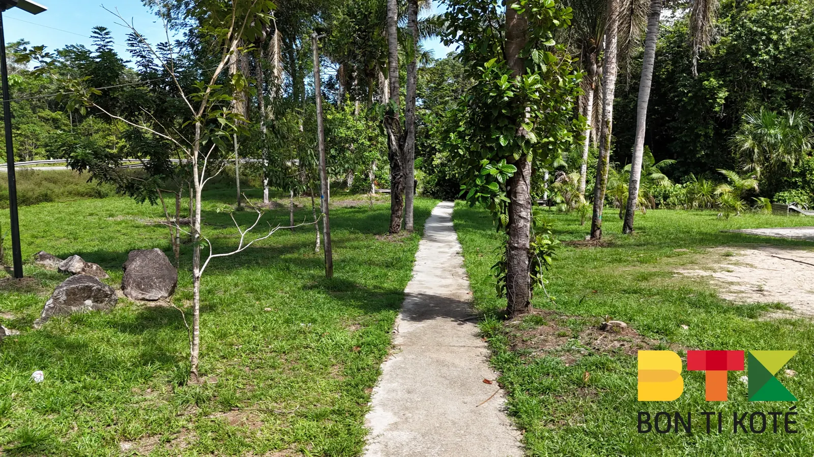 Crique Morpio : Pause Nature en Guyane, Iracoubo — photo 5