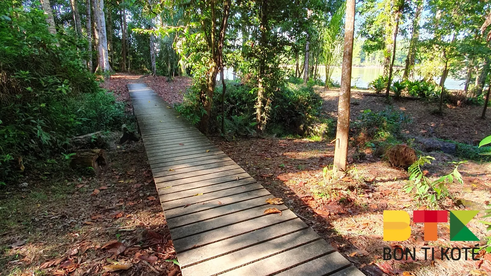 Découverte du Sentier de Gobaya Soula, Maripasoula — photo 1