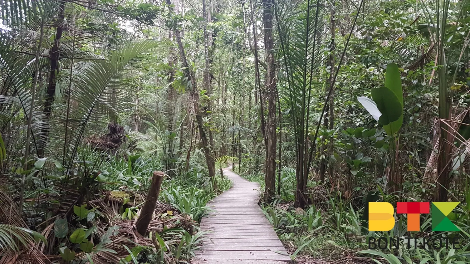 Découvrez le Bagne des Annamites : Un Site Historique Méconnu en Guyane, Montsinéry-Tonnegrande — photo 3