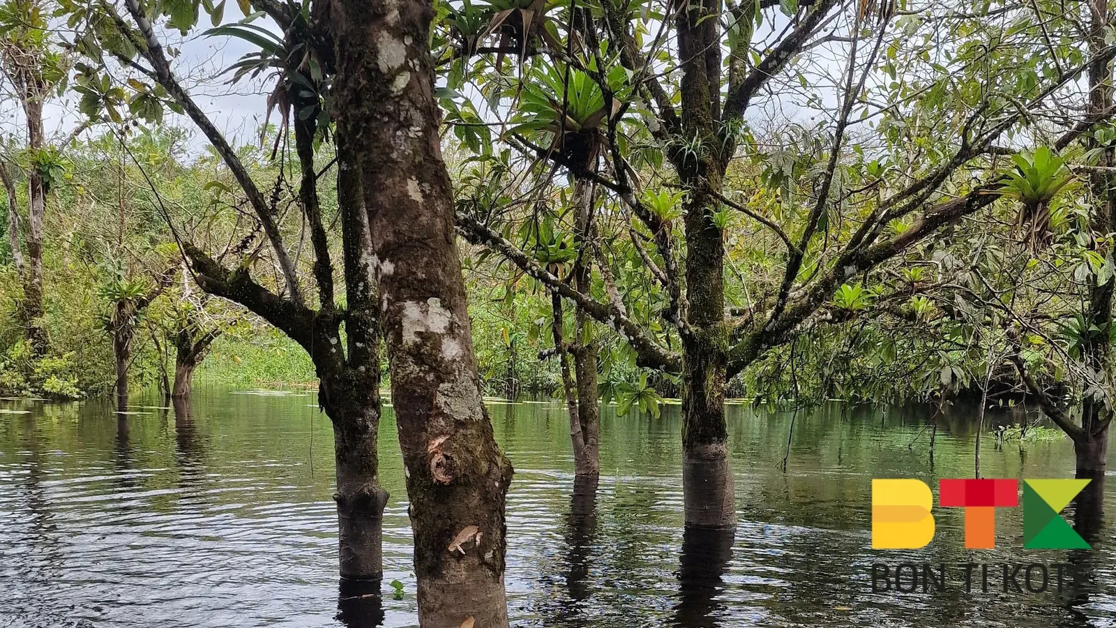 Découvrez le Lac Pali à Roura, Roura — photo 5