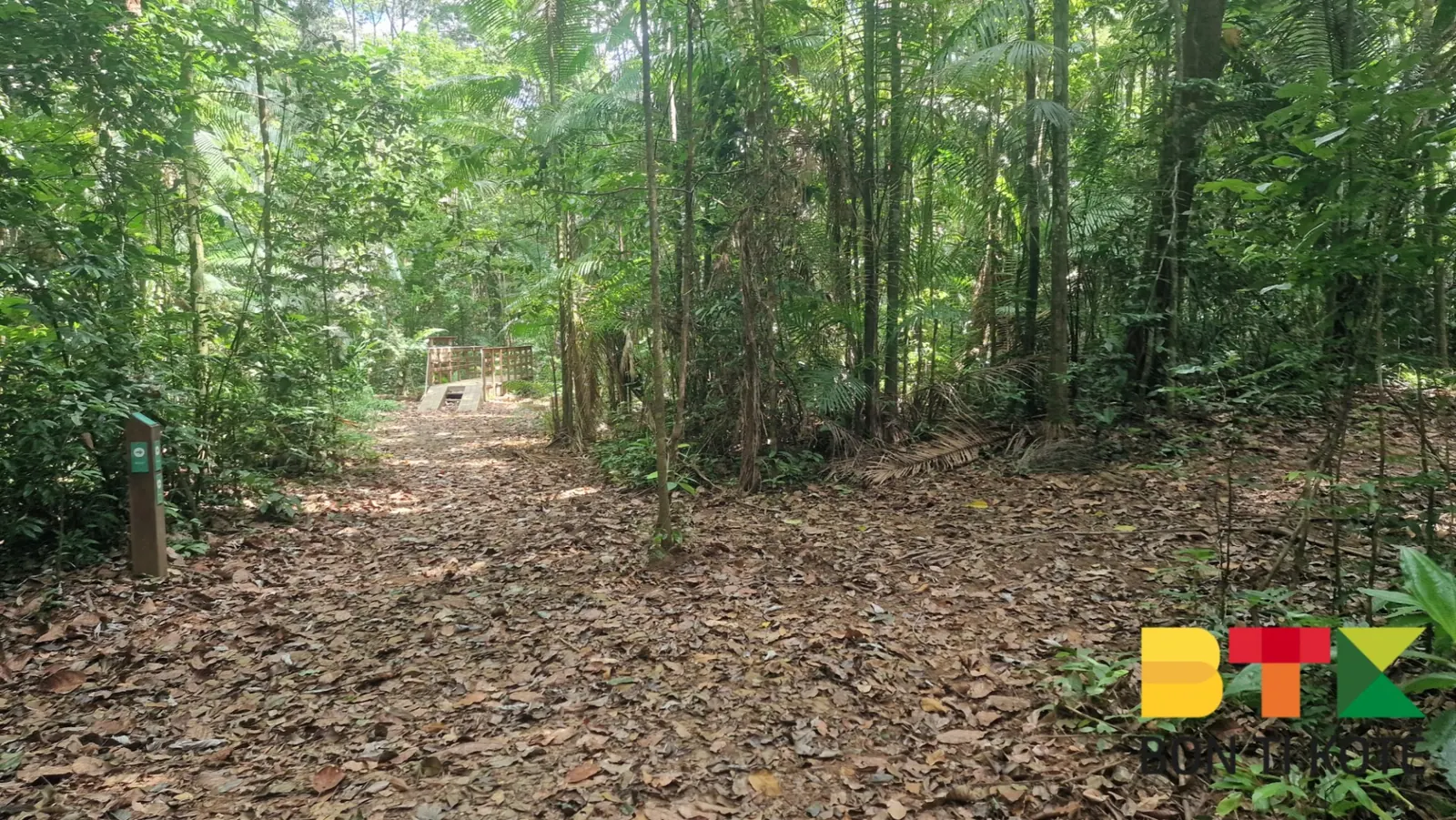 Découvrez le Sentier des Américains, Matoury — photo 2