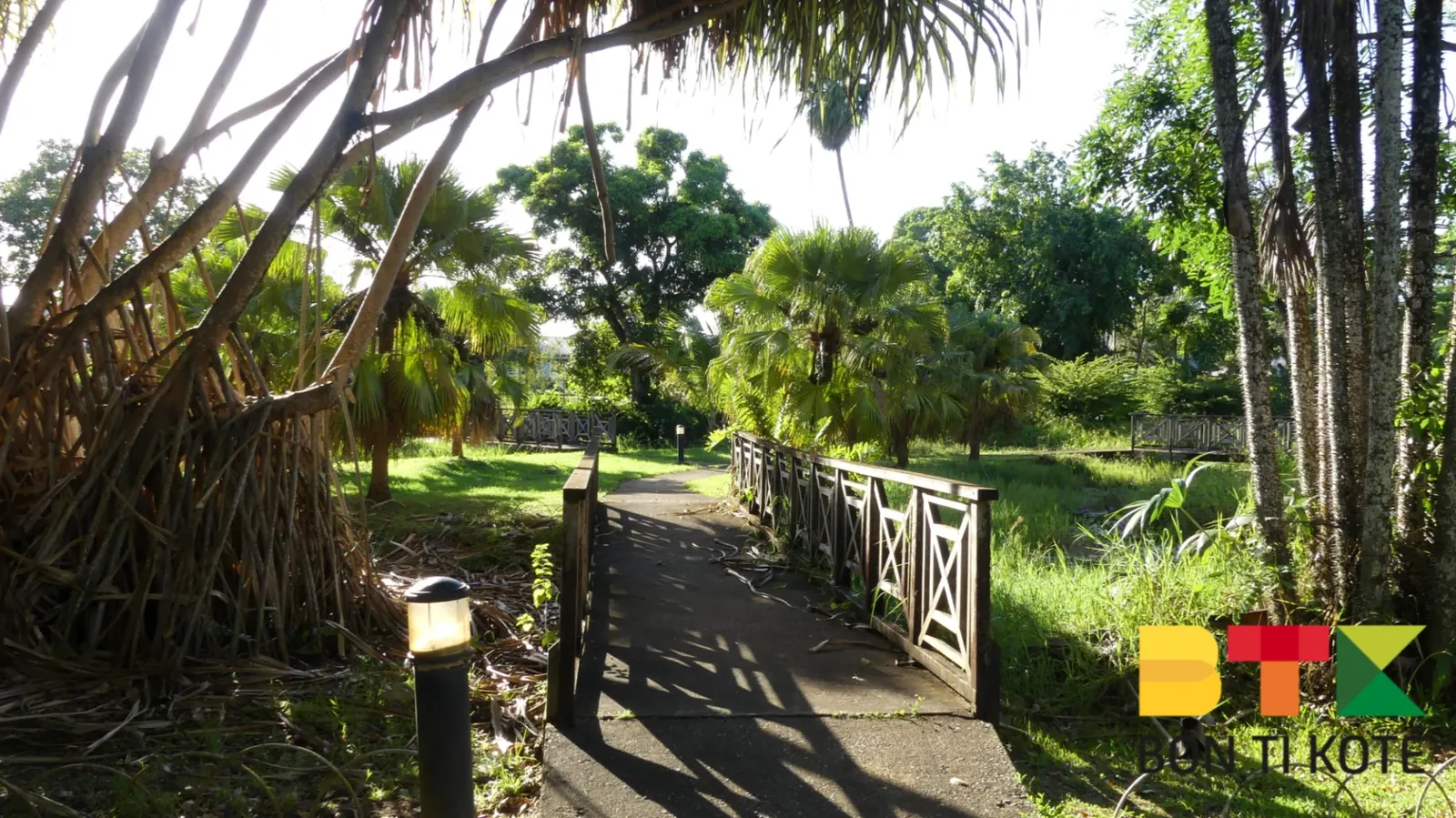 Le jardin botanique de Cayenne, Cayenne — photo 3