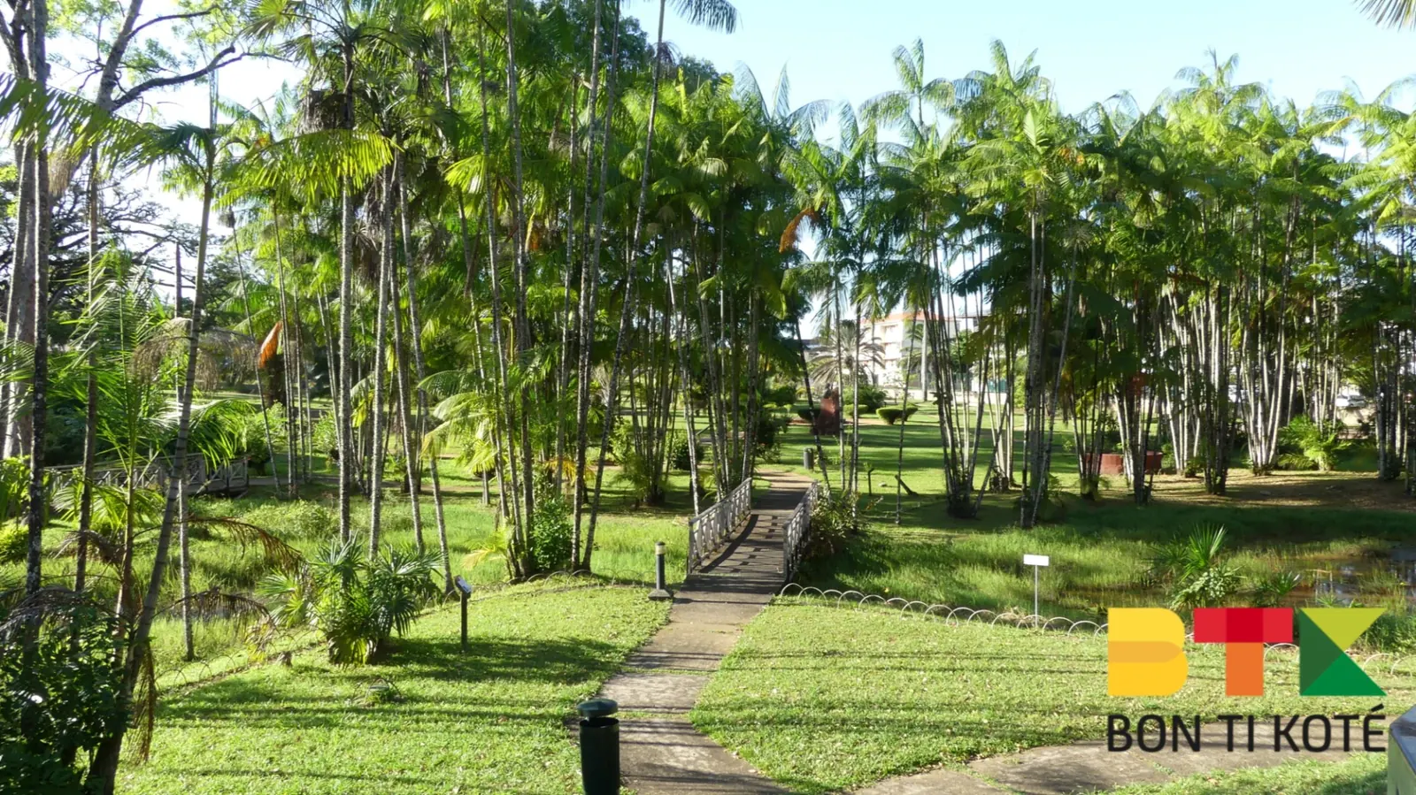 Le jardin botanique de Cayenne, Cayenne — photo 4