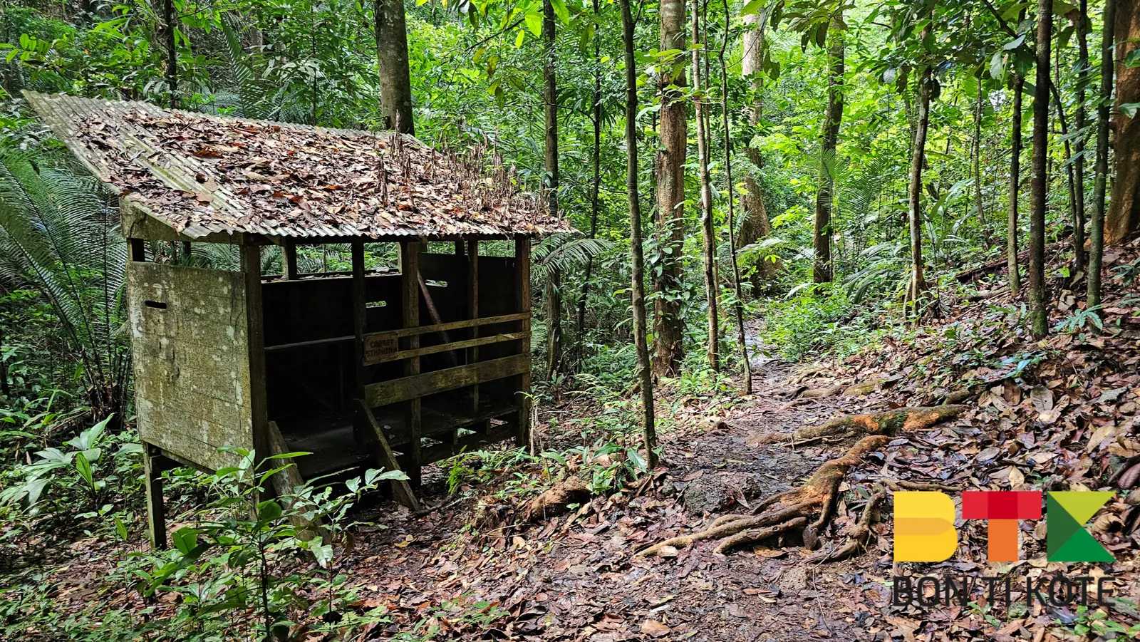 Le Sentier de la Montagne des Singes à Kourou, Kourou — photo 2