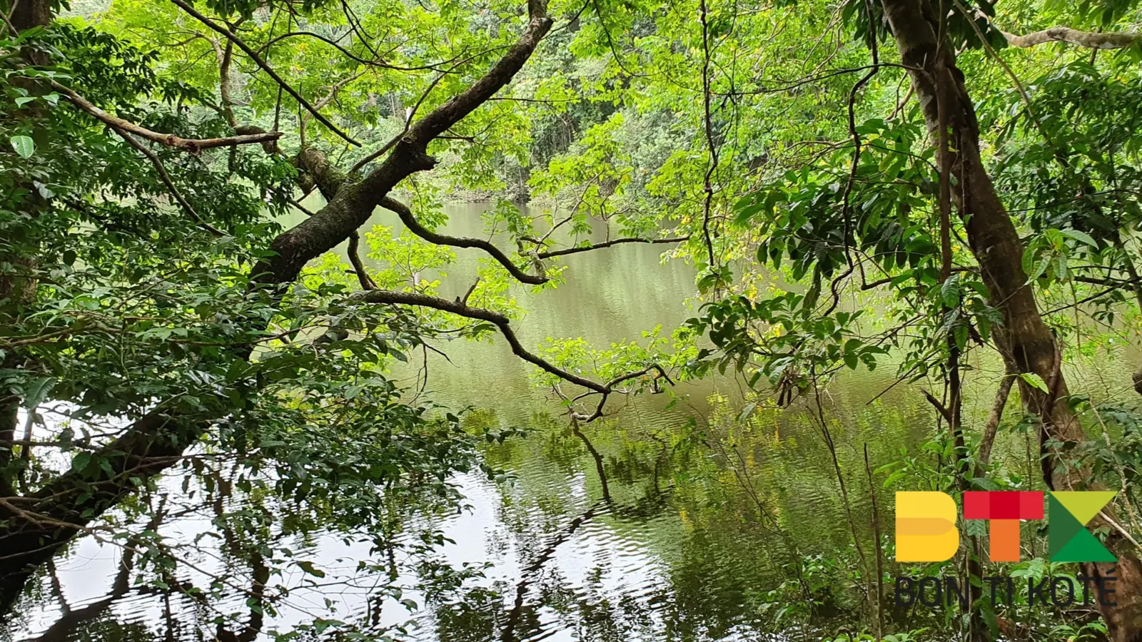 Le sentier du Rorota, parcours à découvrir, Remire-Montjoly — photo 2