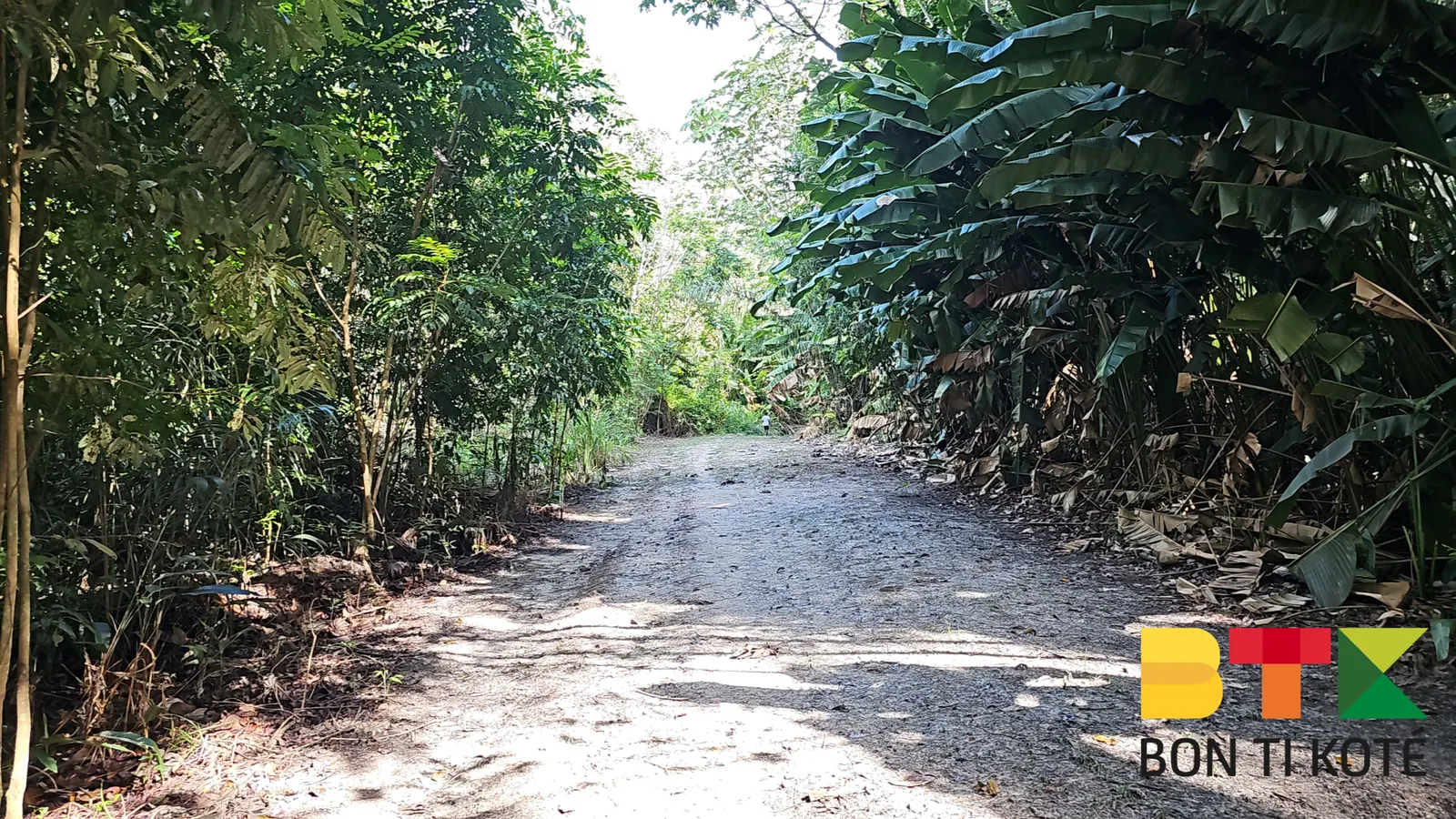 Le sentier nature du Centre Spatial Guyanais, Kourou — photo 1