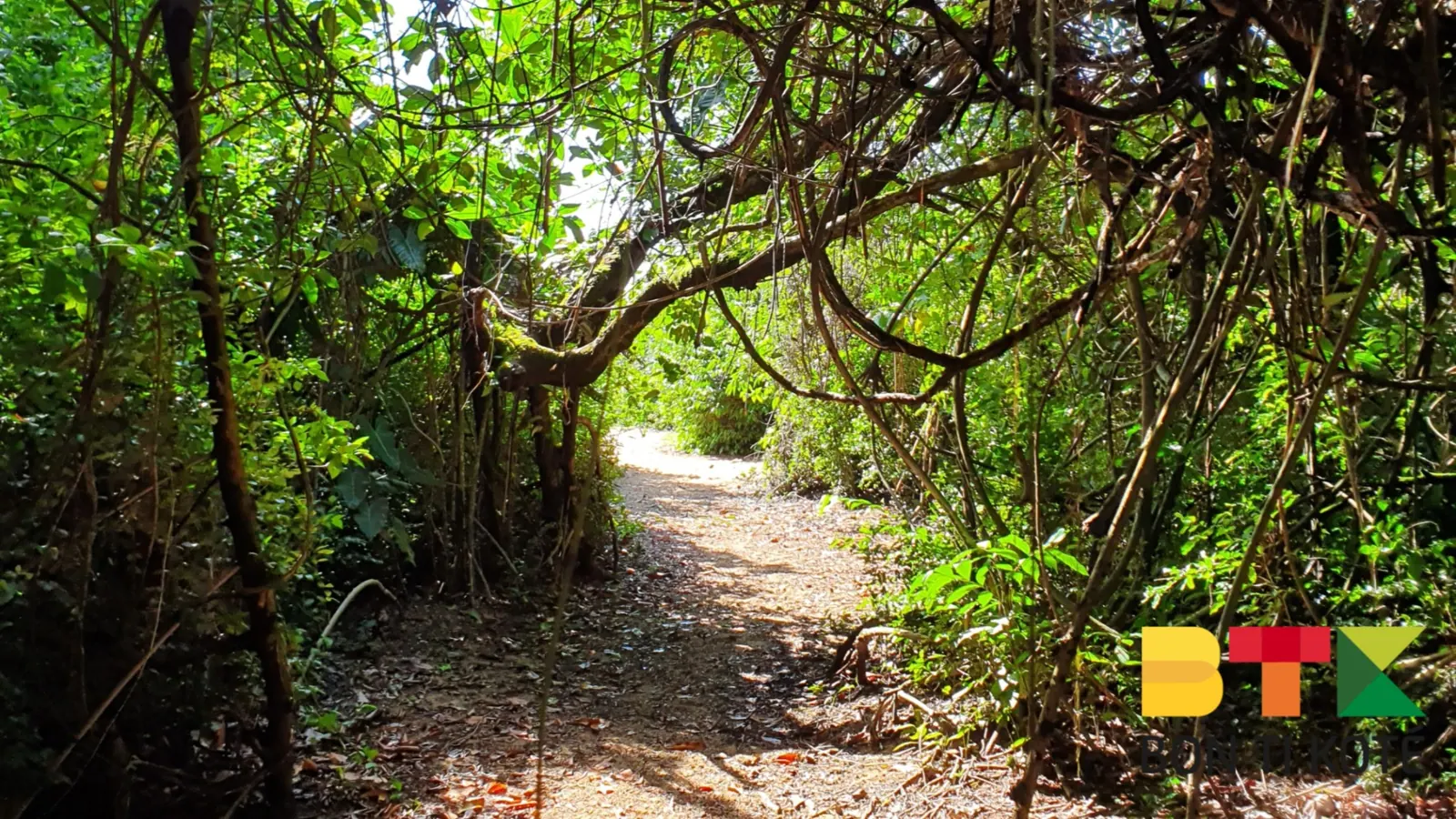Les Salines de Montjoly, Remire-Montjoly — photo 4