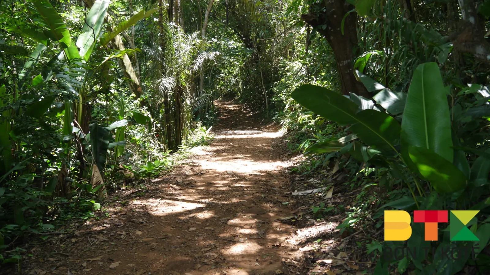 L'habitation Vidal : Un Site Historique de la Guyane, Remire-Montjoly — photo 3
