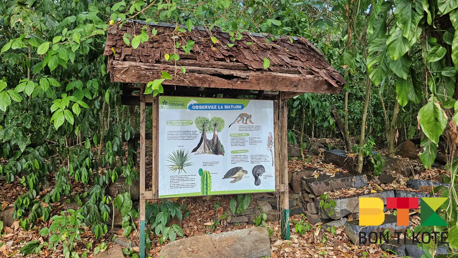 L’Îlet la Mère : entre faune et histoire, Cayenne — photo 5