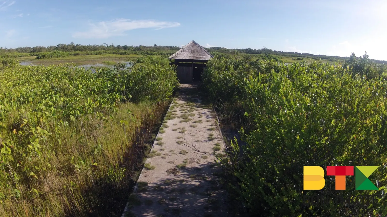 Pripri de Yiyi : un site naturel de Guyane, Sinnamary — photo 1
