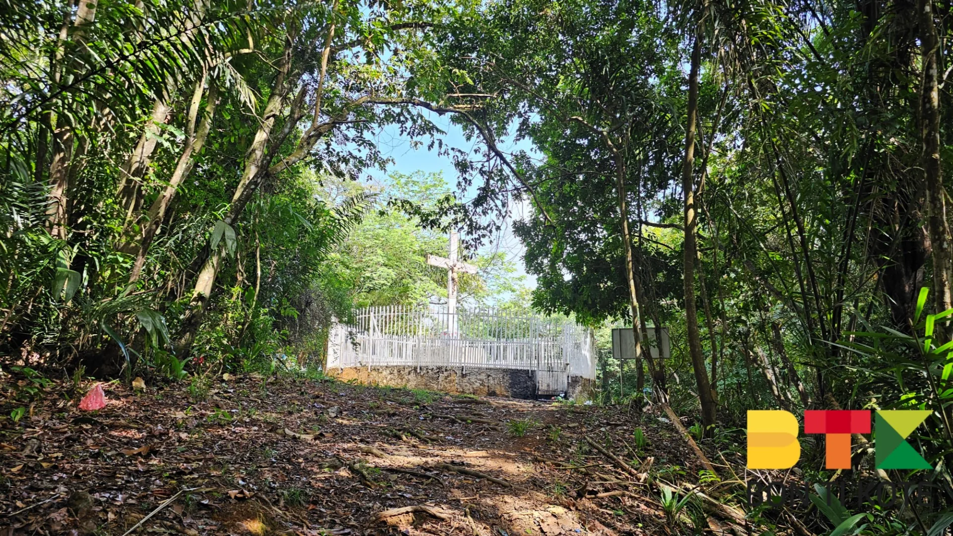 Randonnée au Sentier du Mont Bourda : Une Balade Nature à Cayenne