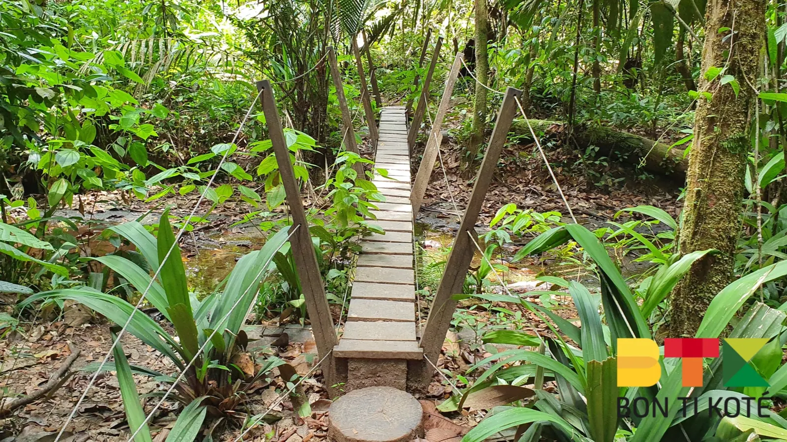 Savane Roche Virginie : une randonnée perchée au cœur de la jungle guyanaise, Régina — photo 1