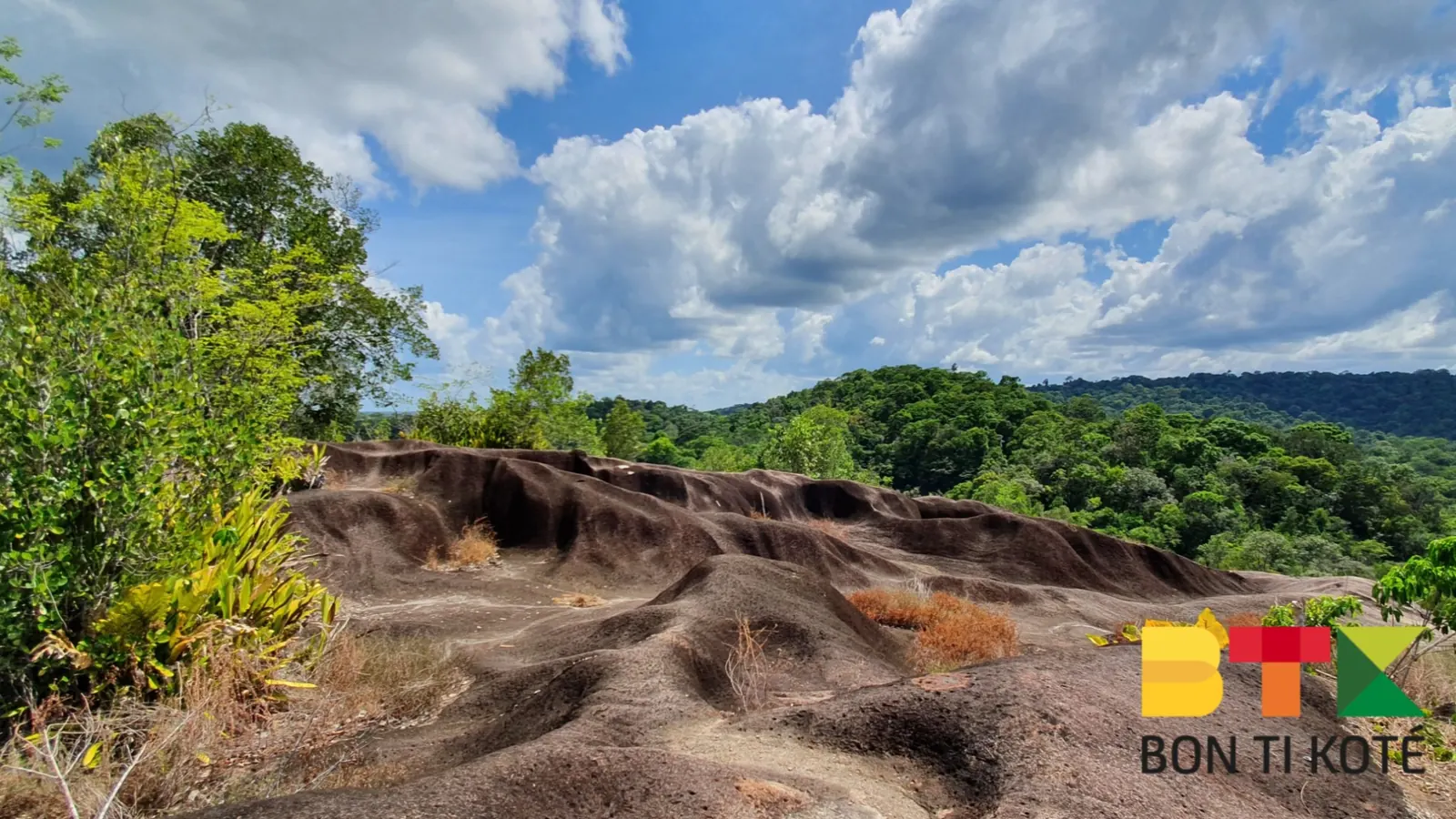 Savane Roche Virginie : une randonnée perchée au cœur de la jungle guyanaise, Régina — photo 5