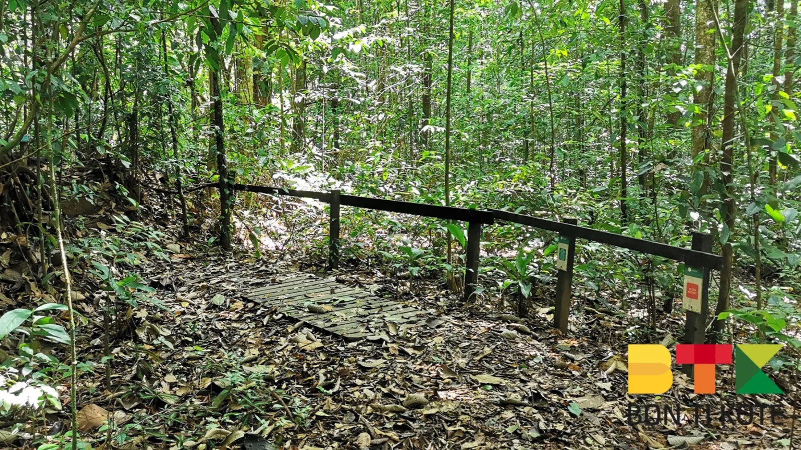 Sentier de la réserve naturelle trésor, Roura — photo 1