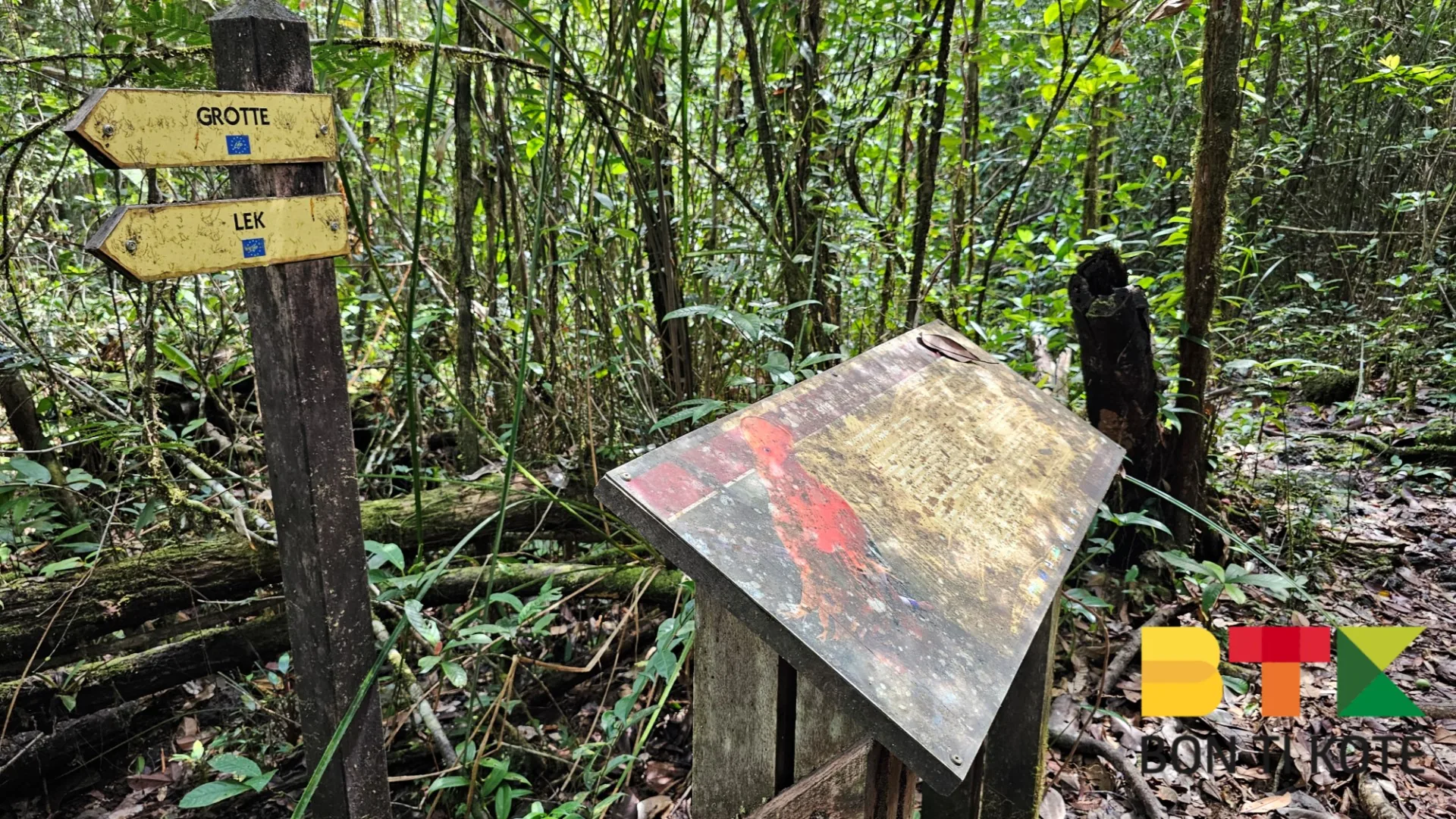 Sentier du Coq de Roche
