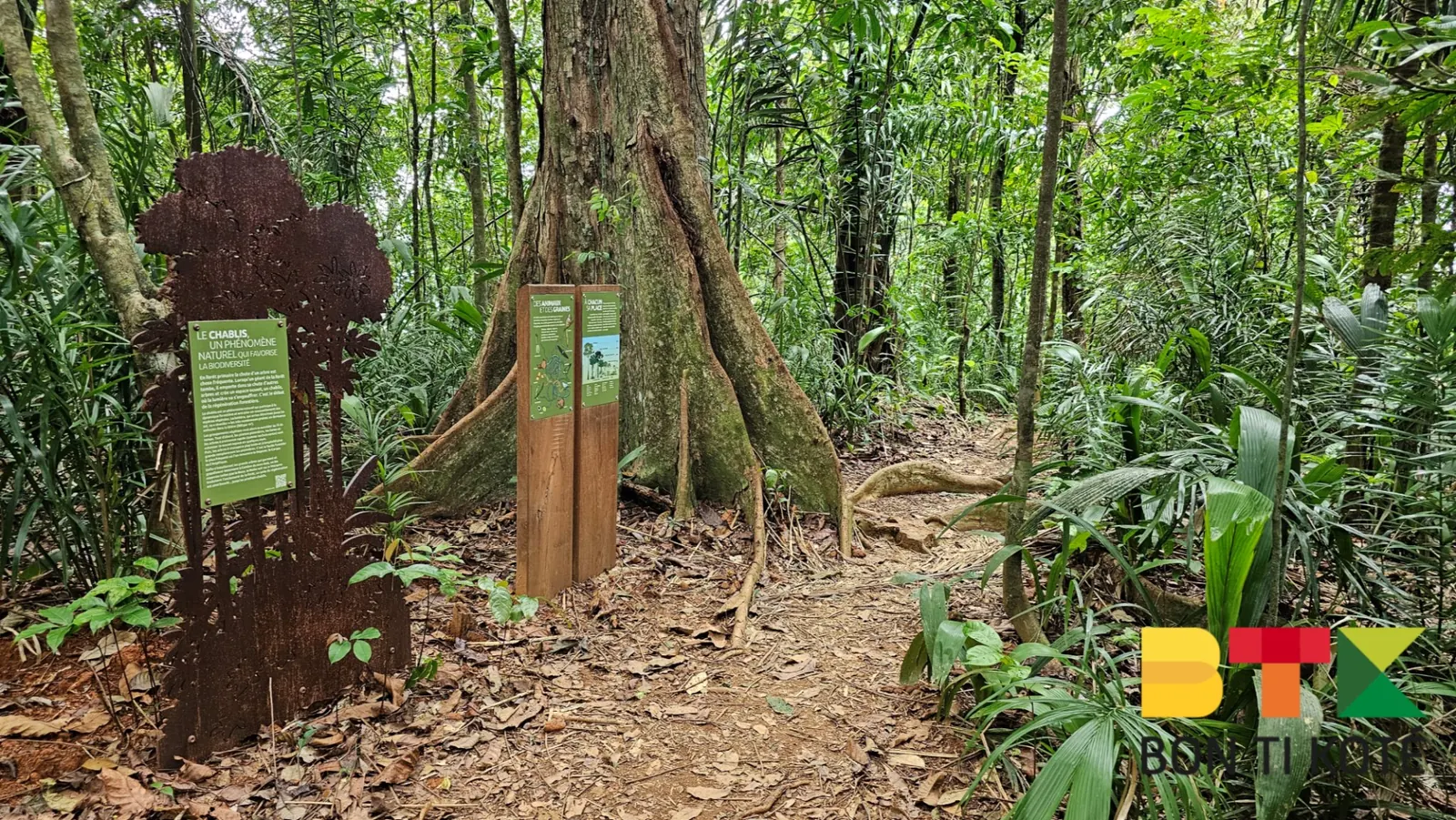 Sentier Montagne Topu : Une Rando Facile en Guyane, Remire-Montjoly — photo 1