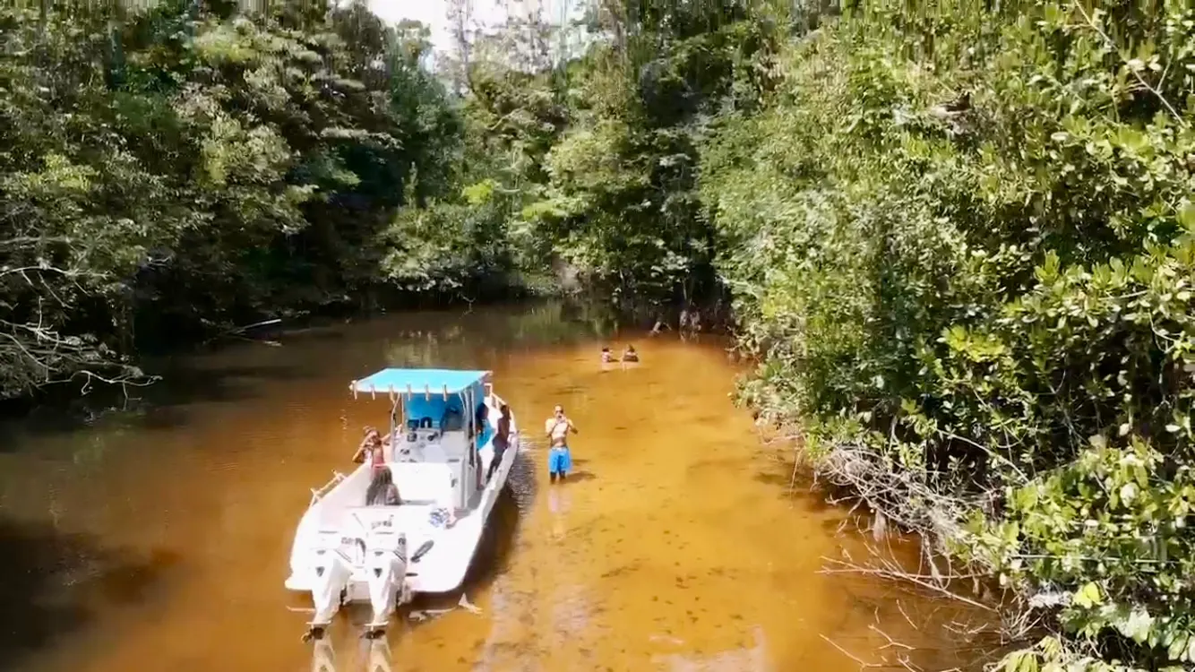 Journée à la Comté en bateau avec skipper, Remire-Montjoly 97354, French Guiana — photo 3