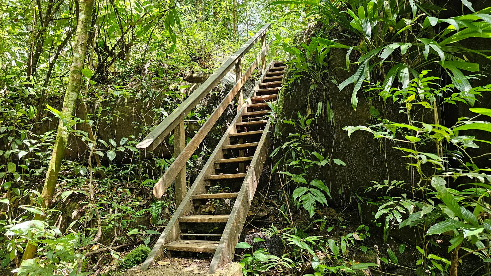 Balade en pirogue & Cascades Fourgassier — Un moment rafraîchissant au cœur de la nature !, Fourgassier, Roura 97352, French Guiana — photo 3
