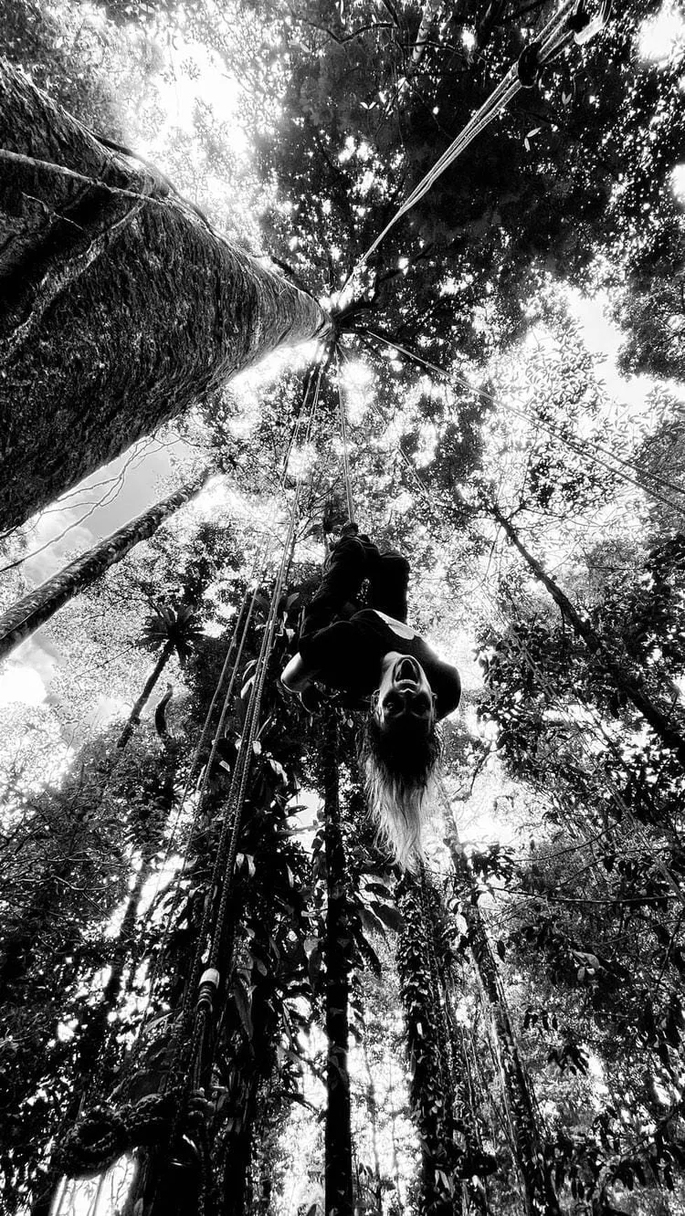 Initiation de Grimpe d'Arbre, Rekawnexion PK30 Route de kaw, Roura 97351, French Guiana — photo 3
