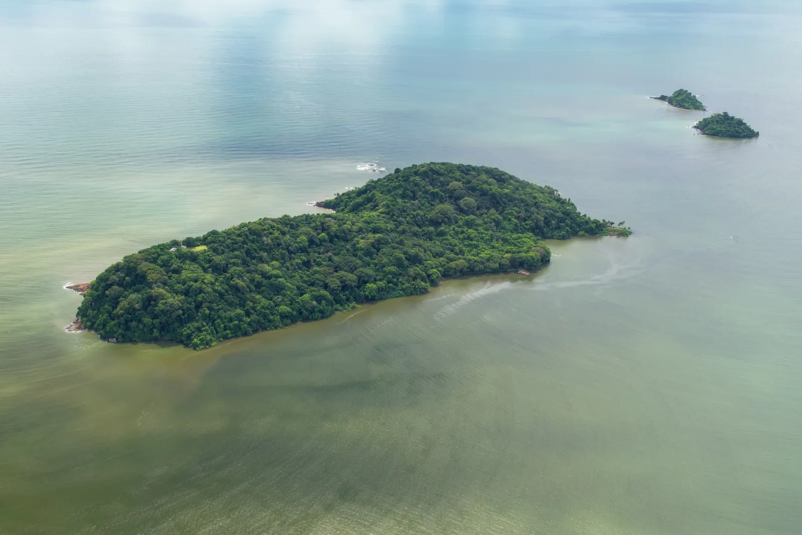 Excursion en bateau vers l’Îlet la Mère : Nature, Histoire et Rencontre avec les Saïmiris et les Dauphins Sotalies, La Mère, French Guiana — photo 1