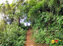Sentier de la colline de Montabo
