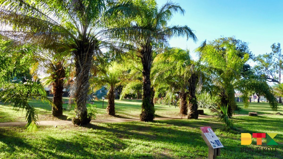 Jardin Botanique de Cayenne