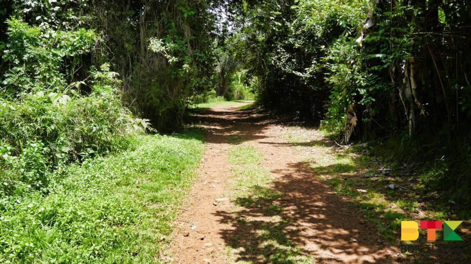 Sentier de l'habitation Vidal