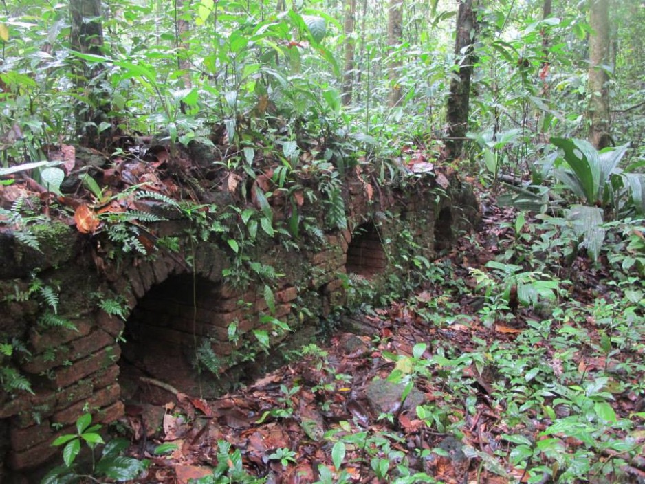 RANDOROURA : RANDONNÉES EN FORET GUYANAISE