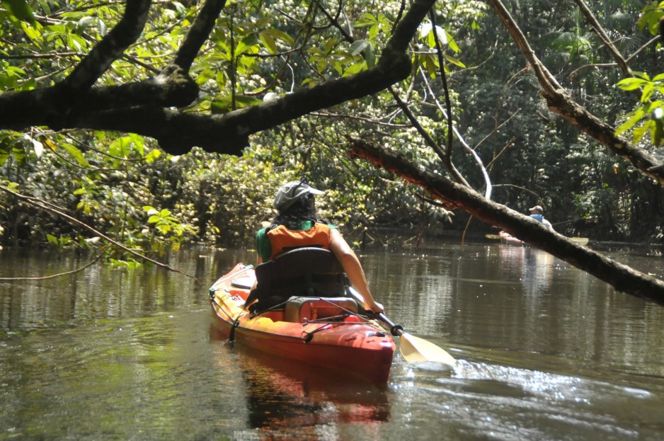 KANO DILO : ACTIVITÉ NAUTIQUE A MACOURIA EN GUYANE